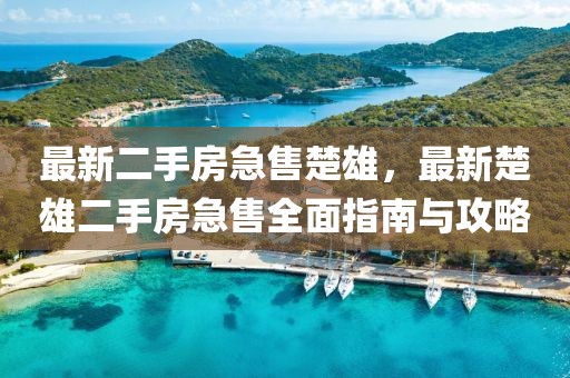 最新二手房急售楚雄，最新楚雄二手房急售全面指南與攻略