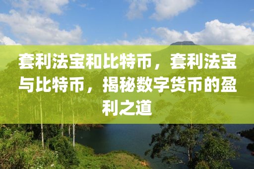 套利法寶和比特幣，套利法寶與比特幣，揭秘?cái)?shù)字貨幣的盈利之道