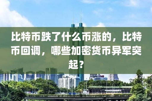 比特幣跌了什么幣漲的，比特幣回調(diào)，哪些加密貨幣異軍突起？