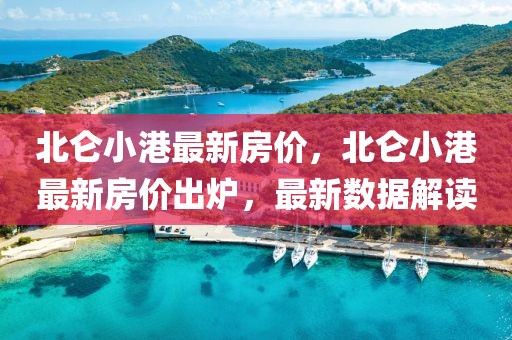 北侖小港最新房?jī)r(jià)，北侖小港最新房?jī)r(jià)出爐，最新數(shù)據(jù)解讀