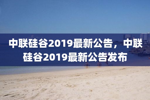 中聯(lián)硅谷2019最新公告，中聯(lián)硅谷2019最新公告發(fā)布