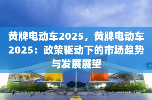 黃牌電動車2025，黃牌電動車2025：政策驅(qū)動下的市場趨勢與發(fā)展展望