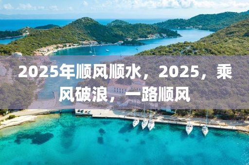 2025年順風順水，2025，乘風破浪，一路順風