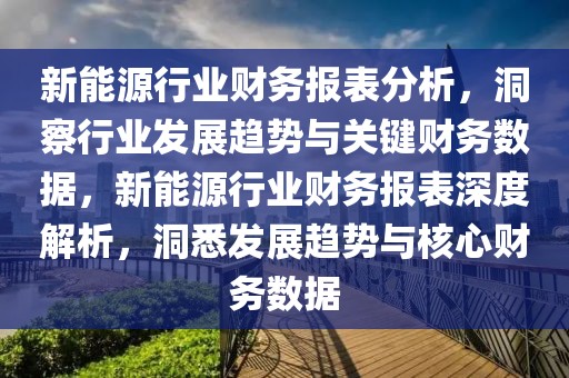 新能源行業(yè)財務(wù)報表分析，洞察行業(yè)發(fā)展趨勢與關(guān)鍵財務(wù)數(shù)據(jù)，新能源行業(yè)財務(wù)報表深度解析，洞悉發(fā)展趨勢與核心財務(wù)數(shù)據(jù)