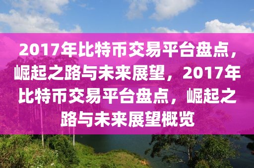 2017年比特幣交易平臺盤點，崛起之路與未來展望，2017年比特幣交易平臺盤點，崛起之路與未來展望概覽