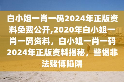 白小姐一肖一碼2024年正版資料免費(fèi)公開,2020年白小姐一肖一碼資料，白小姐一肖一碼2024年正版資料揭秘，警惕非法賭博陷阱