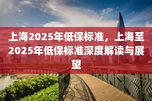 上海2025年低保標(biāo)準(zhǔn)，上海至2025年低保標(biāo)準(zhǔn)深度解讀與展望