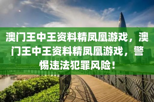 澳門王中王資料精鳳凰游戲，澳門王中王資料精鳳凰游戲，警惕違法犯罪風(fēng)險(xiǎn)！