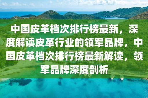 中國(guó)皮革檔次排行榜最新，深度解讀皮革行業(yè)的領(lǐng)軍品牌，中國(guó)皮革檔次排行榜最新解讀，領(lǐng)軍品牌深度剖析