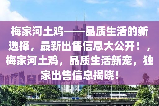 梅家河土雞——品質生活的新選擇，最新出售信息大公開！，梅家河土雞，品質生活新寵，獨家出售信息揭曉！