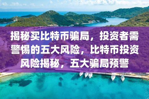 揭秘買比特幣騙局，投資者需警惕的五大風險，比特幣投資風險揭秘，五大騙局預警