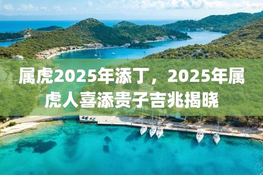 屬虎2025年添丁，2025年屬虎人喜添貴子吉兆揭曉