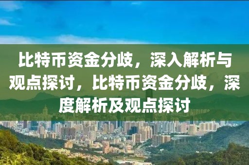 比特幣資金分歧，深入解析與觀點探討，比特幣資金分歧，深度解析及觀點探討