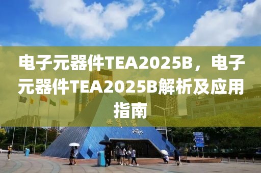 電子元器件TEA2025B，電子元器件TEA2025B解析及應用指南