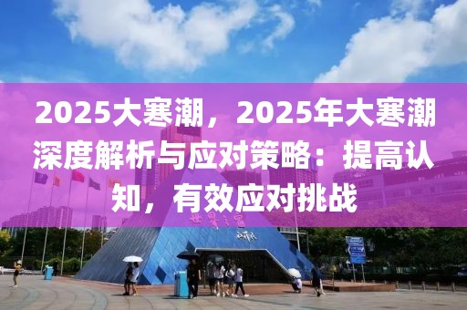 2025大寒潮，2025年大寒潮深度解析與應(yīng)對(duì)策略：提高認(rèn)知，有效應(yīng)對(duì)挑戰(zhàn)