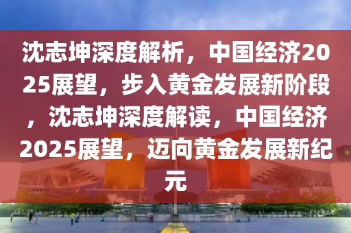 沈志坤深度解析，中國經(jīng)濟2025展望，步入黃金發(fā)展新階段，沈志坤深度解讀，中國經(jīng)濟2025展望，邁向黃金發(fā)展新紀元