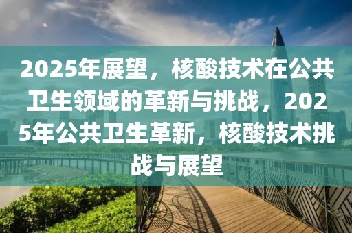 2025年展望，核酸技術在公共衛(wèi)生領域的革新與挑戰(zhàn)，2025年公共衛(wèi)生革新，核酸技術挑戰(zhàn)與展望