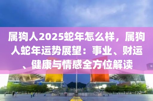 屬狗人2025蛇年怎么樣，屬狗人蛇年運勢展望：事業(yè)、財運、健康與情感全方位解讀