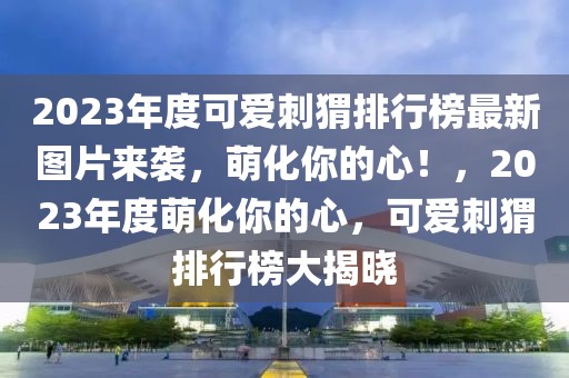 2023年度可愛刺猬排行榜最新圖片來襲，萌化你的心！，2023年度萌化你的心，可愛刺猬排行榜大揭曉