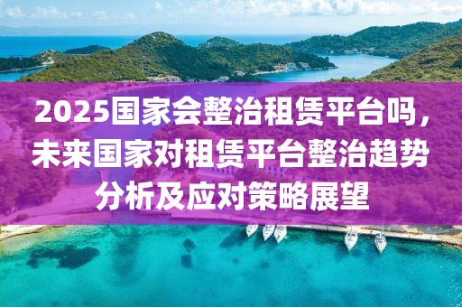 2025國家會整治租賃平臺嗎，未來國家對租賃平臺整治趨勢分析及應對策略展望