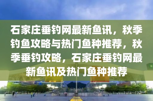 石家莊垂釣網(wǎng)最新魚訊，秋季釣魚攻略與熱門魚種推薦，秋季垂釣攻略，石家莊垂釣網(wǎng)最新魚訊及熱門魚種推薦