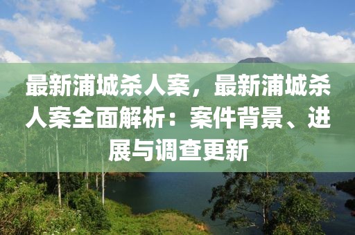 最新浦城殺人案，最新浦城殺人案全面解析：案件背景、進(jìn)展與調(diào)查更新