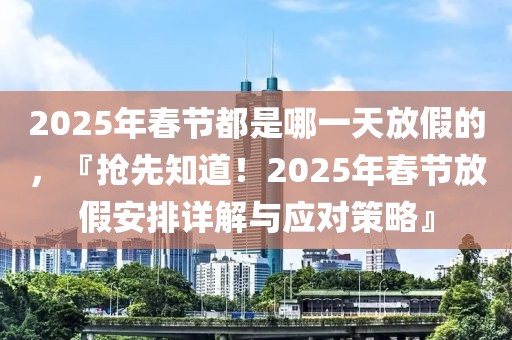 2025年春節(jié)都是哪一天放假的，『搶先知道！2025年春節(jié)放假安排詳解與應對策略』