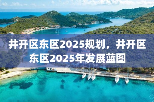 井開區(qū)東區(qū)2025規(guī)劃，井開區(qū)東區(qū)2025年發(fā)展藍圖