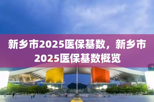 新鄉(xiāng)市2025醫(yī)保基數(shù)，新鄉(xiāng)市2025醫(yī)?；鶖?shù)概覽