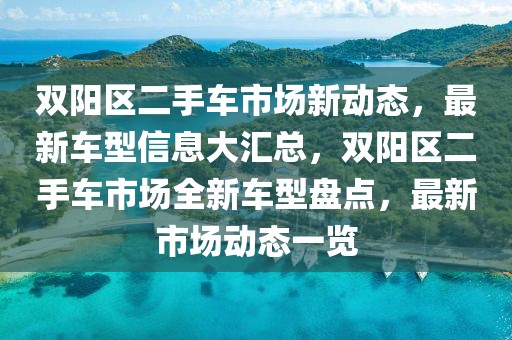 雙陽區(qū)二手車市場新動態(tài)，最新車型信息大匯總，雙陽區(qū)二手車市場全新車型盤點，最新市場動態(tài)一覽