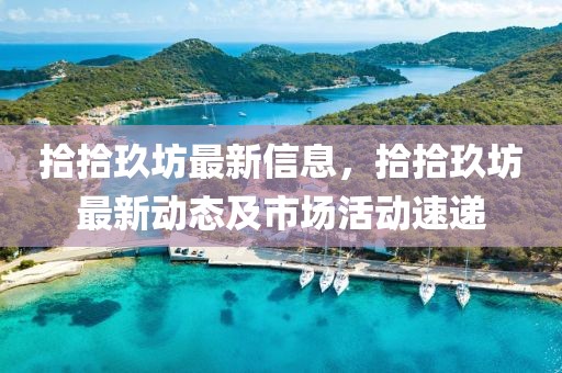 拾拾玖坊最新信息，拾拾玖坊最新動態(tài)及市場活動速遞