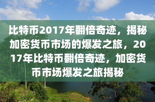 比特幣2017年翻倍奇跡，揭秘加密貨幣市場(chǎng)的爆發(fā)之旅，2017年比特幣翻倍奇跡，加密貨幣市場(chǎng)爆發(fā)之旅揭秘