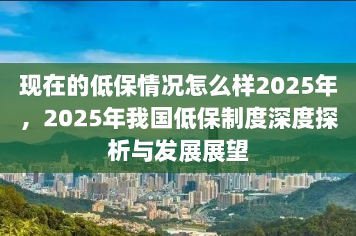 現(xiàn)在的低保情況怎么樣2025年，2025年我國(guó)低保制度深度探析與發(fā)展展望