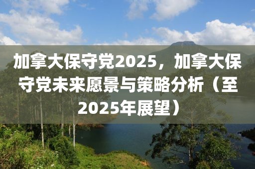 加拿大保守黨2025，加拿大保守黨未來愿景與策略分析（至2025年展望）