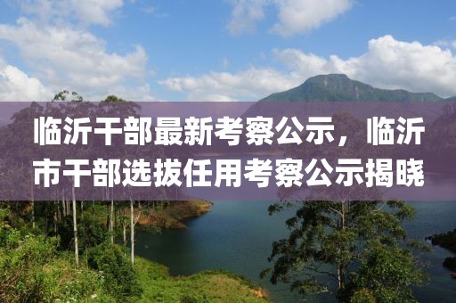 臨沂干部最新考察公示，臨沂市干部選拔任用考察公示揭曉