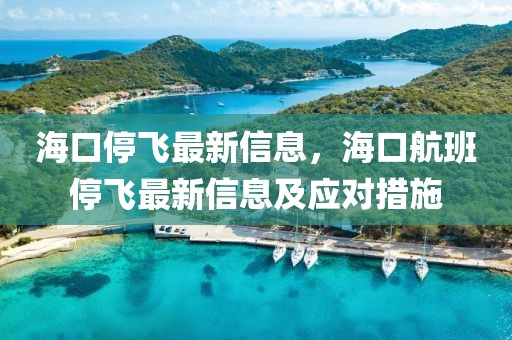 ?？谕ｏw最新信息，海口航班停飛最新信息及應(yīng)對(duì)措施