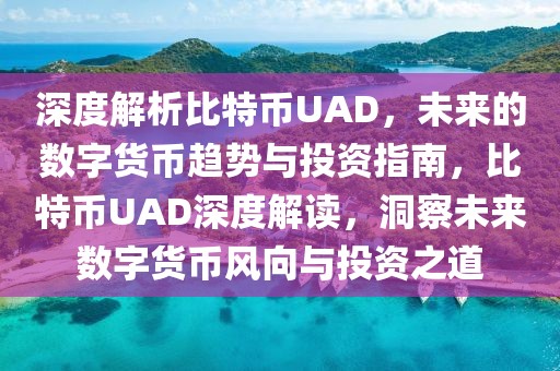 深度解析比特幣UAD，未來的數(shù)字貨幣趨勢(shì)與投資指南，比特幣UAD深度解讀，洞察未來數(shù)字貨幣風(fēng)向與投資之道