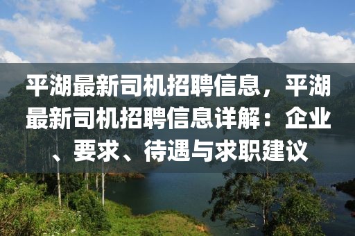 平湖最新司機(jī)招聘信息，平湖最新司機(jī)招聘信息詳解：企業(yè)、要求、待遇與求職建議