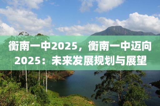 衡南一中2025，衡南一中邁向2025：未來發(fā)展規(guī)劃與展望