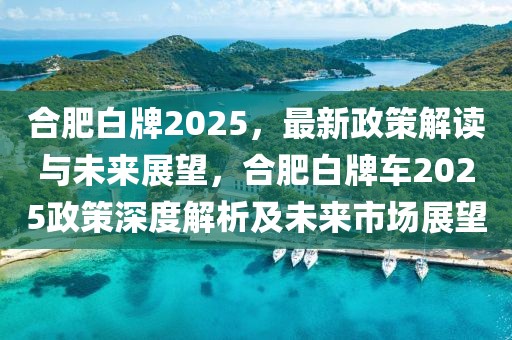 合肥白牌2025，最新政策解讀與未來展望，合肥白牌車2025政策深度解析及未來市場展望