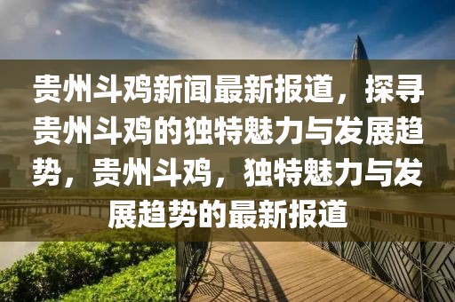 貴州斗雞新聞最新報道，探尋貴州斗雞的獨特魅力與發(fā)展趨勢，貴州斗雞，獨特魅力與發(fā)展趨勢的最新報道