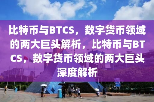 比特幣與BTCS，數(shù)字貨幣領(lǐng)域的兩大巨頭解析，比特幣與BTCS，數(shù)字貨幣領(lǐng)域的兩大巨頭深度解析