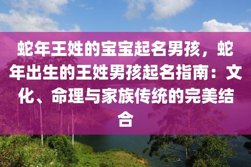 蛇年王姓的寶寶起名男孩，蛇年出生的王姓男孩起名指南：文化、命理與家族傳統(tǒng)的完美結(jié)合