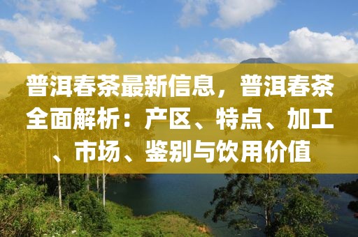 普洱春茶最新信息，普洱春茶全面解析：產(chǎn)區(qū)、特點(diǎn)、加工、市場(chǎng)、鑒別與飲用價(jià)值