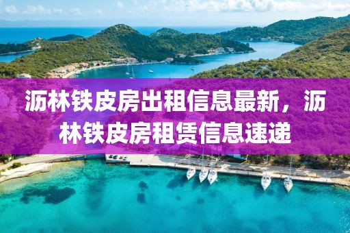 瀝林鐵皮房出租信息最新，瀝林鐵皮房租賃信息速遞