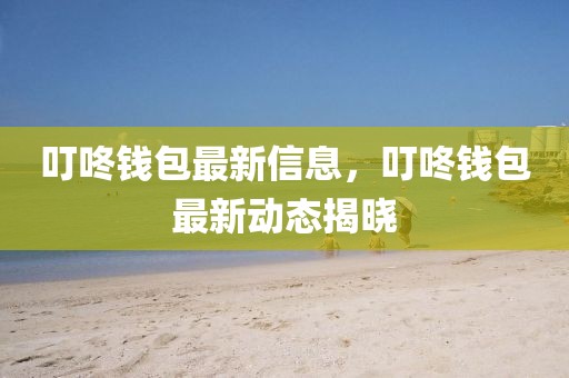 叮咚錢包最新信息，叮咚錢包最新動(dòng)態(tài)揭曉