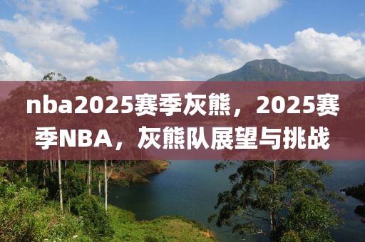 nba2025賽季灰熊，2025賽季NBA，灰熊隊展望與挑戰(zhàn)