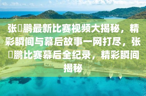 張堃鵬最新比賽視頻大揭秘，精彩瞬間與幕后故事一網(wǎng)打盡，張堃鵬比賽幕后全紀(jì)錄，精彩瞬間揭秘