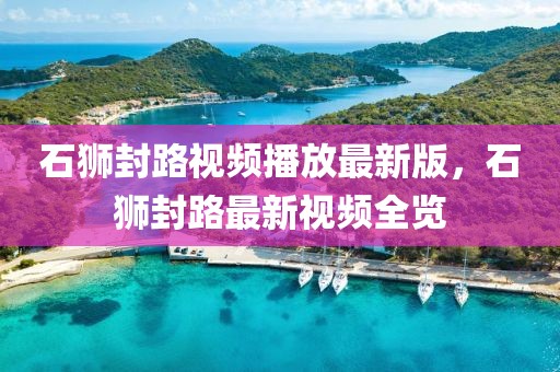 石獅封路視頻播放最新版，石獅封路最新視頻全覽