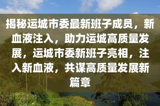 揭秘運城市委最新班子成員，新血液注入，助力運城高質(zhì)量發(fā)展，運城市委新班子亮相，注入新血液，共謀高質(zhì)量發(fā)展新篇章